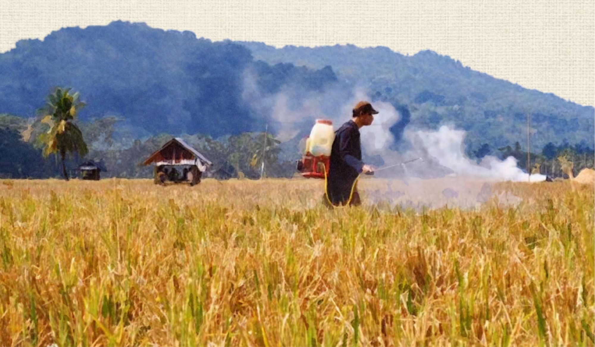 Pembangunan dan krisis agraria di Indonesia