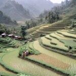Hak Menguasai Negara atas Tanah di Indonesia dan Paradoks Kedaulatan Negara