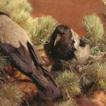Hooded Crows karya Bruno Liljefors