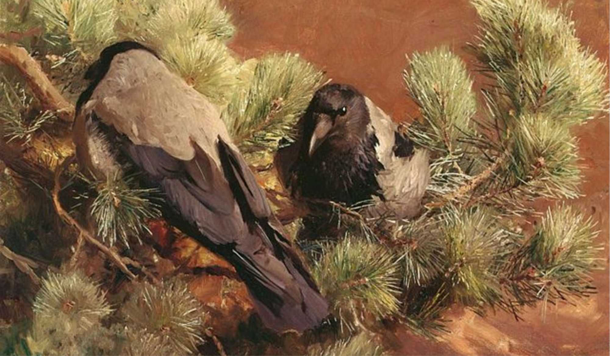 Burung Gagak sebuah Gambaran Manusia yang Paradoksal