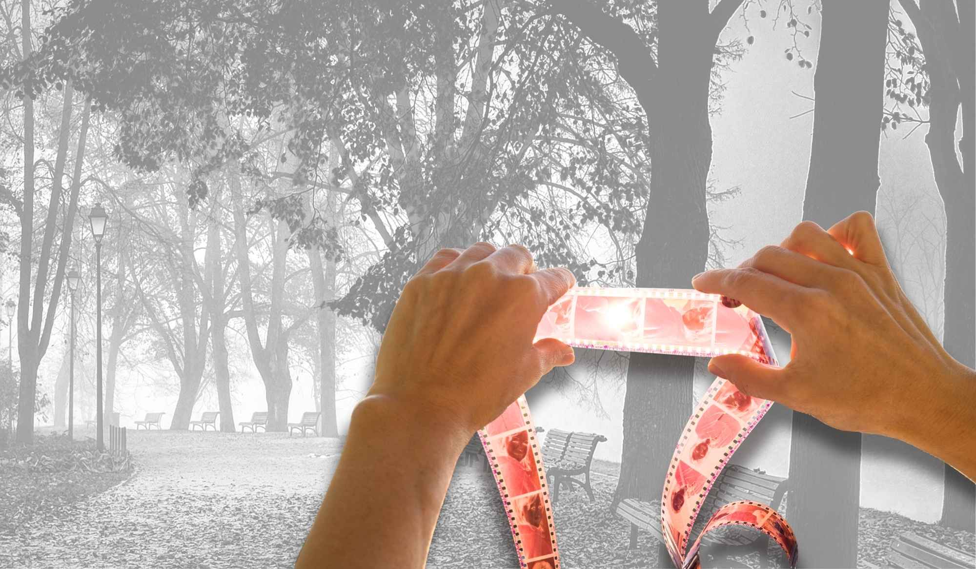 Ingatan Netizen: Ketika Nostalgia Menjadi Bentuk Pengetahuan